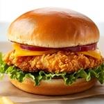 Chicken Burger with Chicken Strip